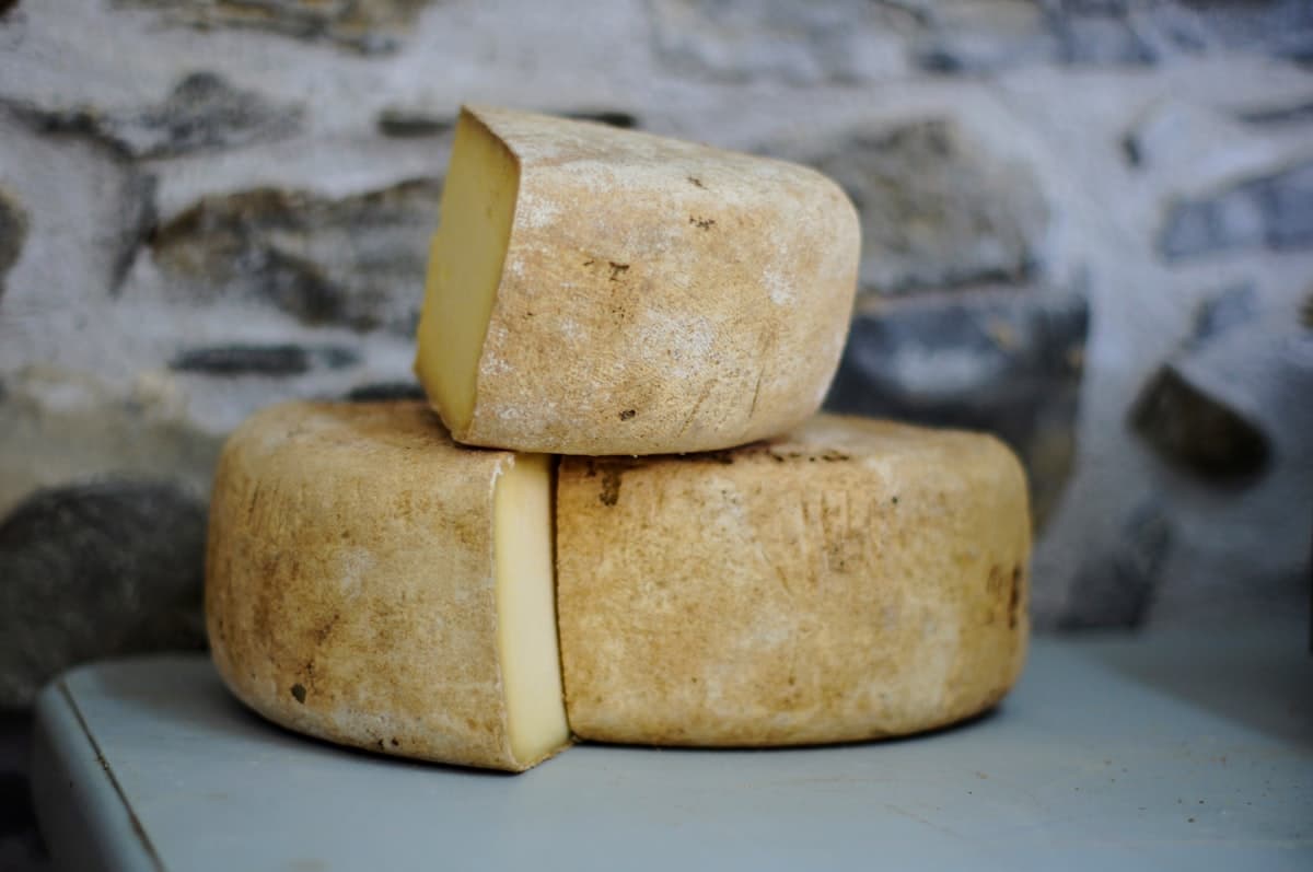 임실치즈 D.I.Y. — 모짜렐라부터 피자까지