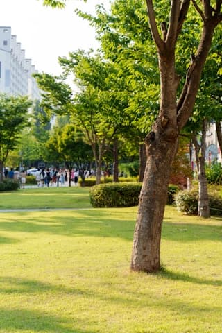 제주 협재 선셋 서핑 입문